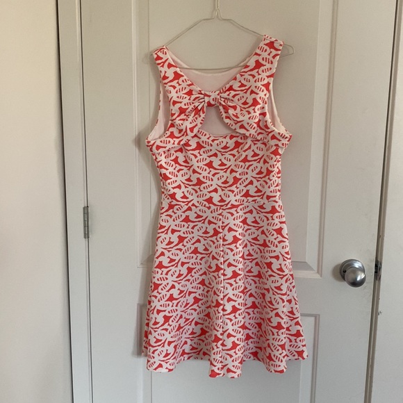 charming Charlie’s Dress - Picture 2 of 2